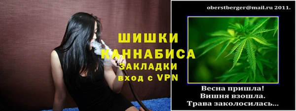 тгк Лагань