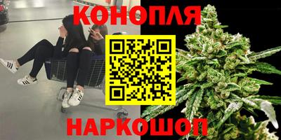 герыч Кингисепп
